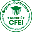 Logo certification CFEI